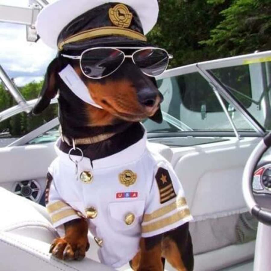 A dachshund dressed in a pilot's uniform and sunglasses sits confidently in a boat.