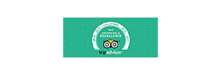 Tripadvisor Certificate of Excellence logo in green.