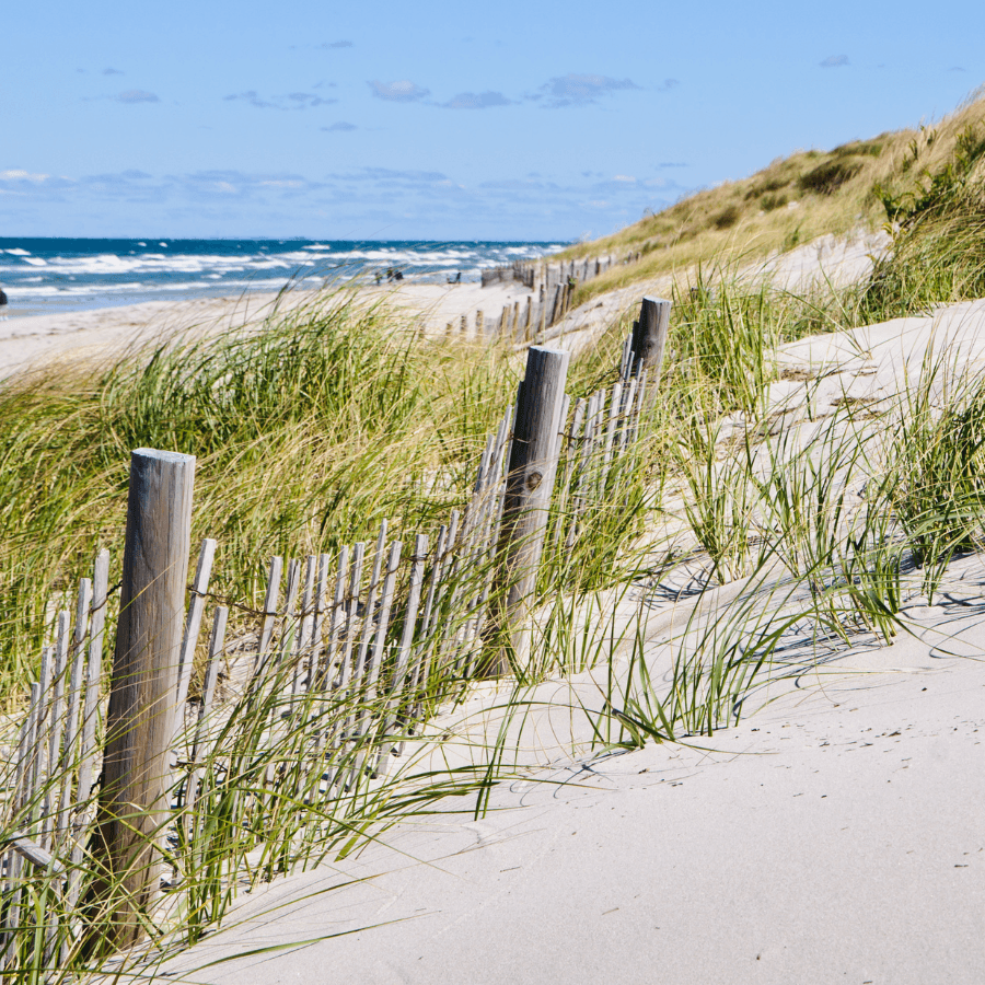 A sandy beach with tall grass and a wooden fence along the shoreline under a clear blue sky.